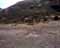 Alto Espina 1