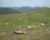 Los Lagos 3
