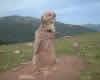 Los Lagos menhir