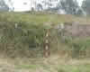 Cantos Huecos 2