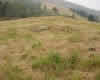 Cantos Huecos 4
