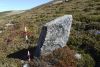 Collad&iacute;a 21