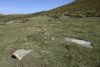 Collad&iacute;a 23