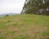 Hayas 2