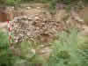 Hayas 4