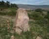 Matorra 2
