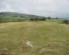 Montealegre