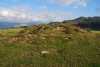 Campo Crespo 2