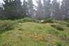 Campo Ventoso 3