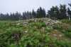 Campo Ventoso 4