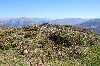 Cires 6