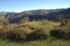 Cires 3