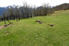 Los Llanos 3