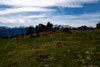 Palmedi&aacute;n norte 1