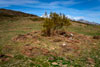 Palmedi&aacute;n norte 2