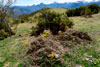 Palmedi&aacute;n norte 3
