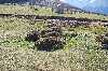 Llaves menhir