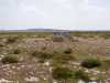 Valliladre