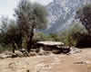 Cerde&ntilde;a