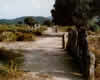 C&oacute;rcega