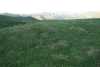 Le Cham