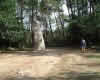 Kerlescan