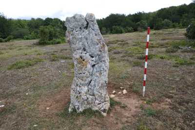 Moj&oacute;n Largo Lokitz