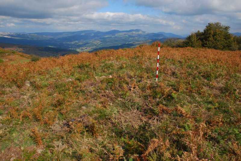 &Aacute;lava Ribacoba Alto