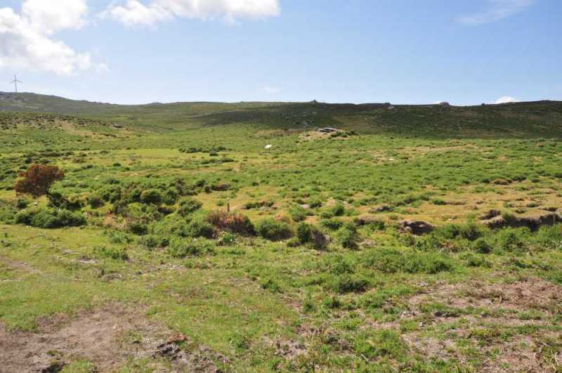 Coru&ntilde;a Arca de Barbanza