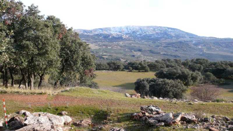 Granada Pe&ntilde;a de los Gitanos