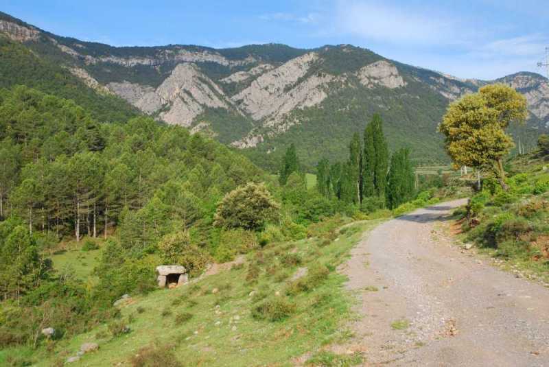 L&eacute;rida Mol&iacute; de Fava