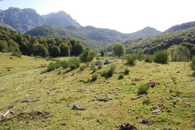 Le&oacute;n Vegaba&ntilde;o