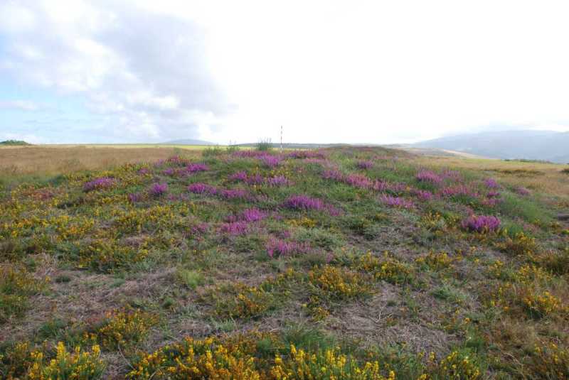 Lugo &ccedil;Santa Marina