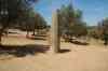 Menhir Almendres
