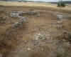 Los Zumacales